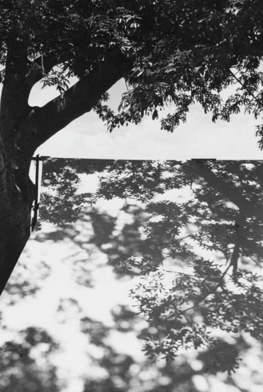 Manuel Álvarez Bravo, Luz Restirada (Stretched Light), 1944