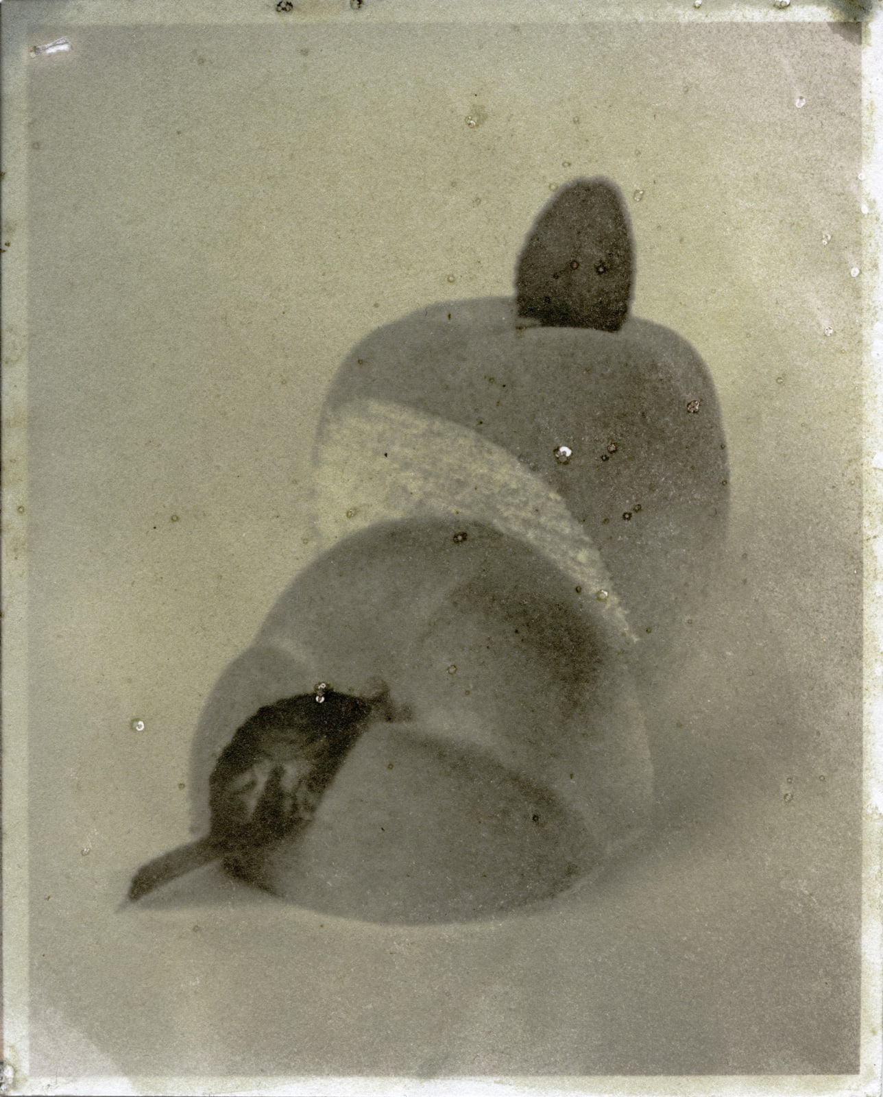 Matthew Brandt, Peaches, 6B, 2017