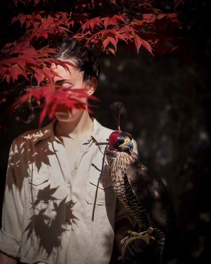 Cig Harvey, Emily & the Falcon, Camden, Maine, 2019
