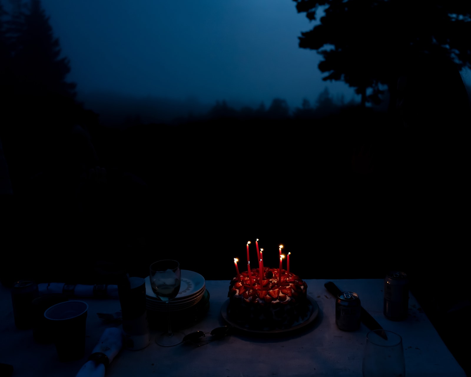 Cig Harvey, Cake, Eagle Island, Maine, 2021