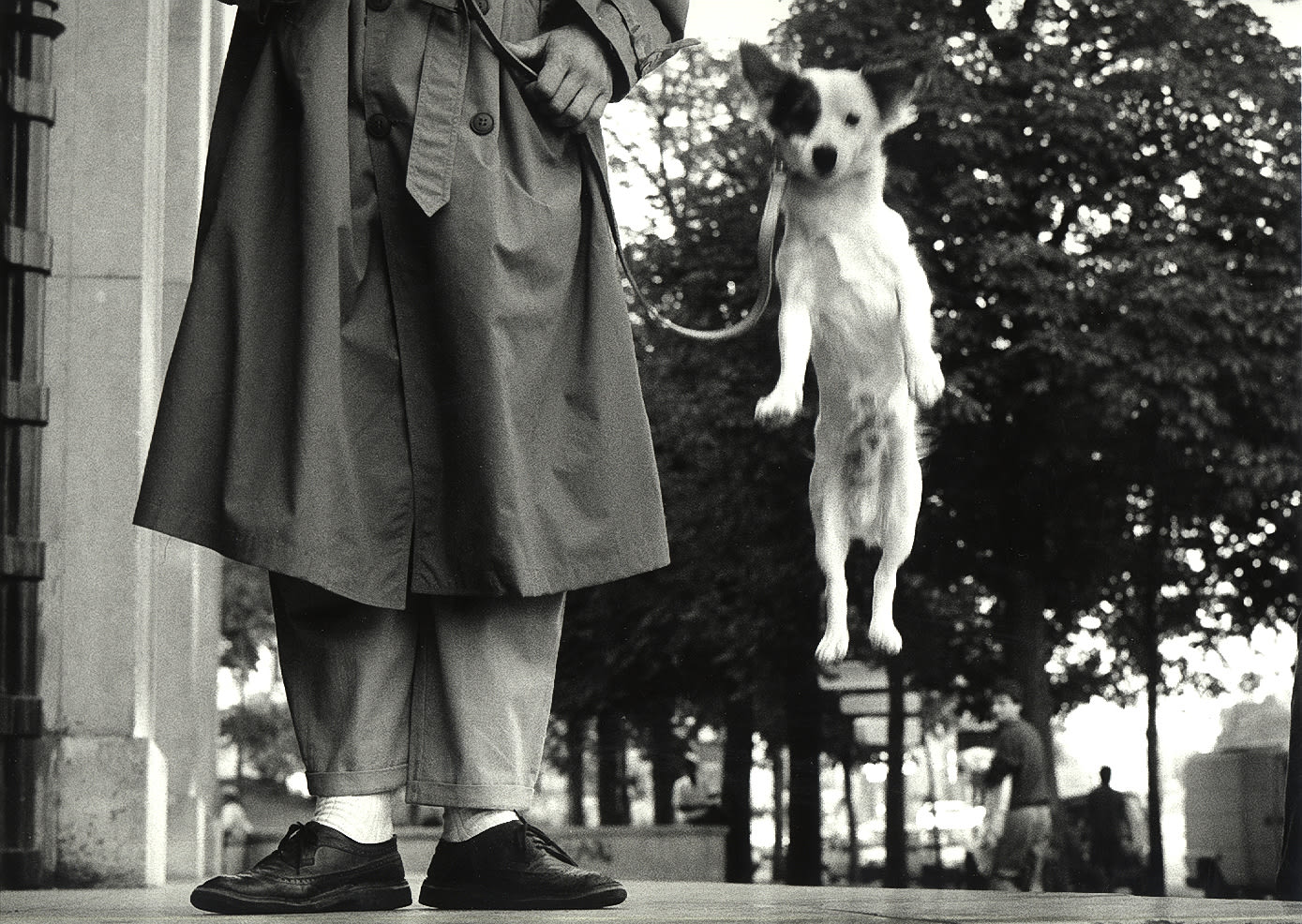 Elliott Erwitt, Paris, France (Dog Jumping), 1989