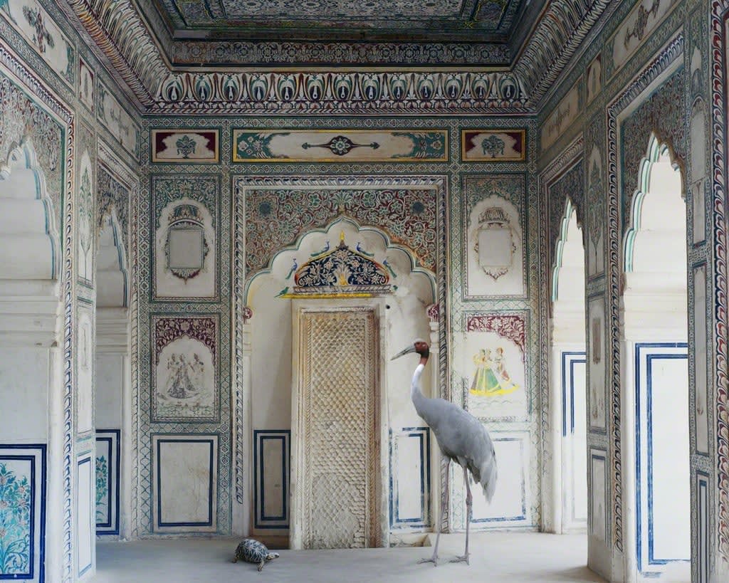 Karen Knorr, Amrita's Message, Nagaur Fort, Nagaur, 2012