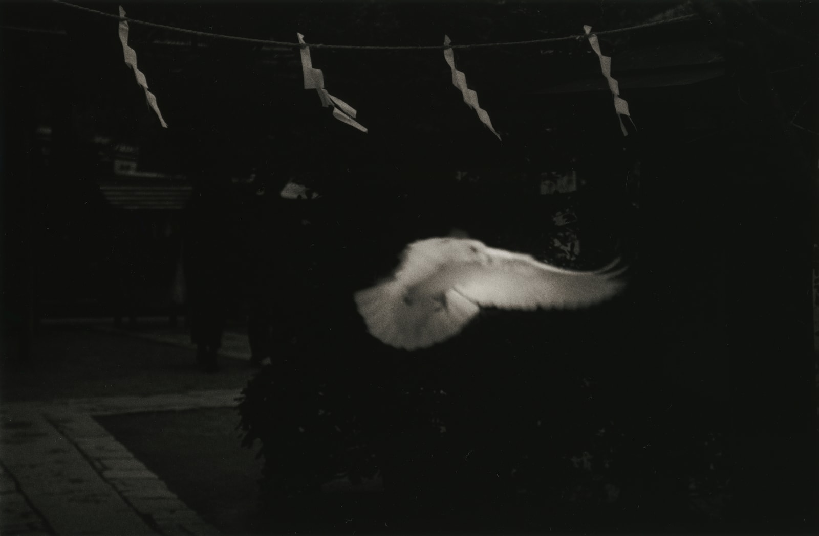 Yamamoto Masao, Kawa=Flow #1554