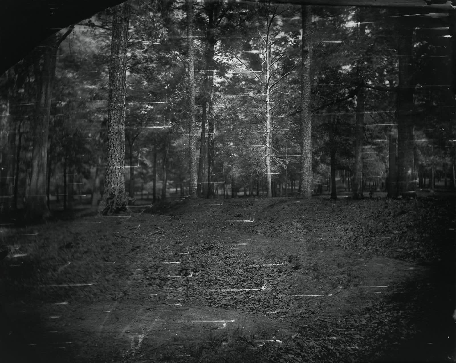 Sally Mann, Battlefield, Cold Harbor #27 from the Battlefield), 2002