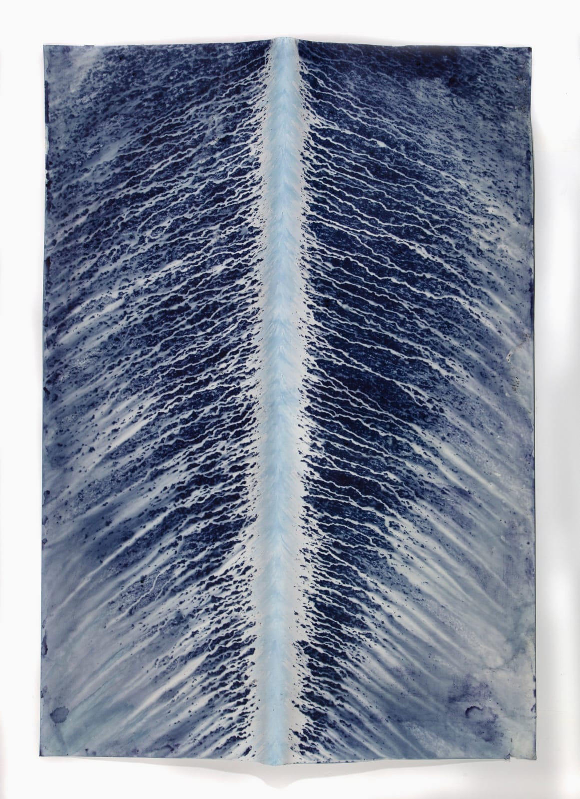 Meghann Riepenhoff, Ecotone #577 (Bainbridge Island, WA 01.11.19, Draped, Rain and Hail Showers), 2019