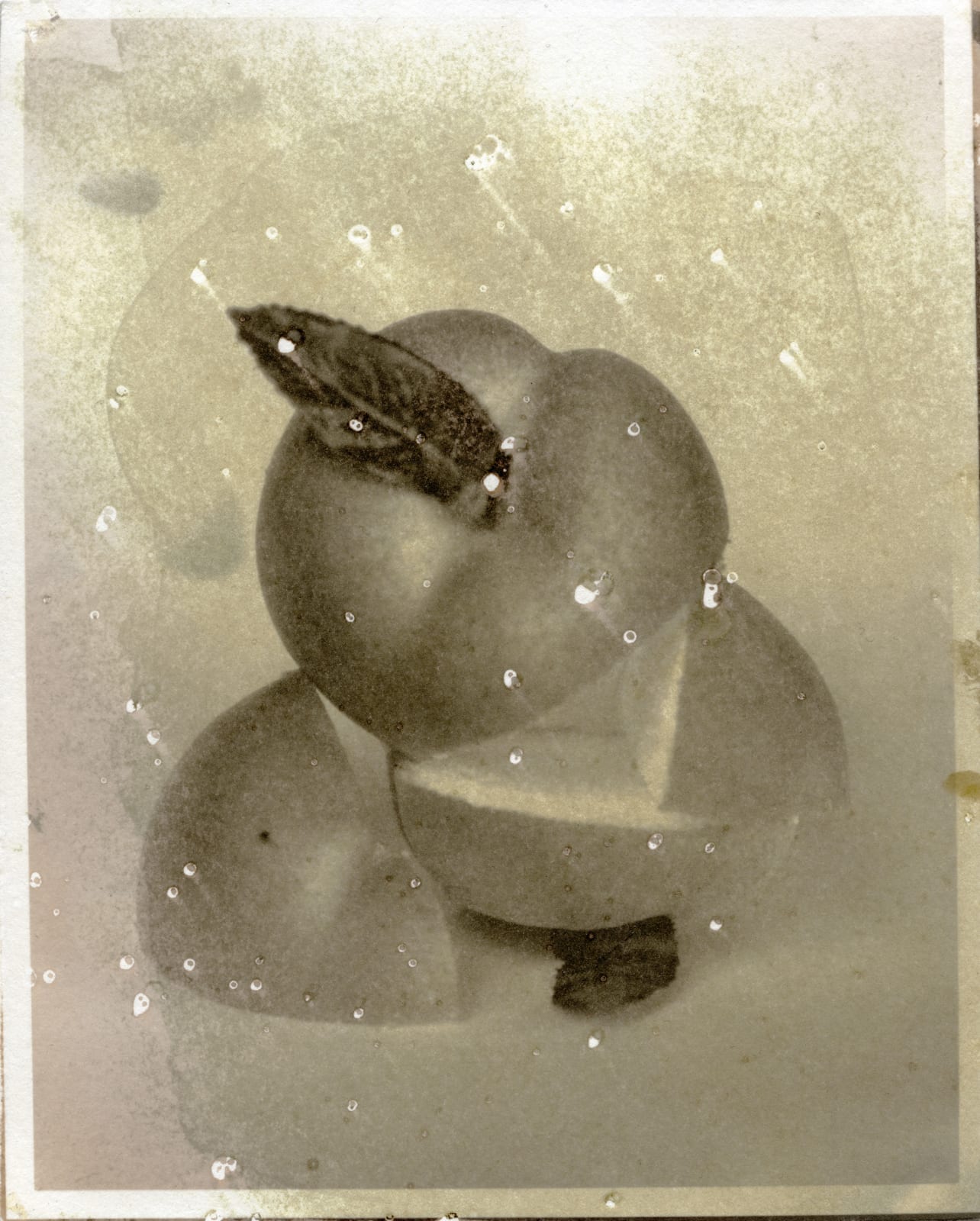 Matthew Brandt, Peaches, 4B, 2017