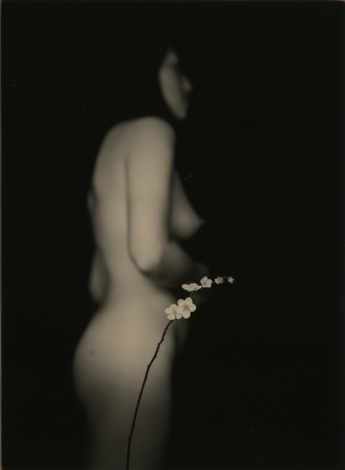 Yamamoto Masao, Nakazora #1244