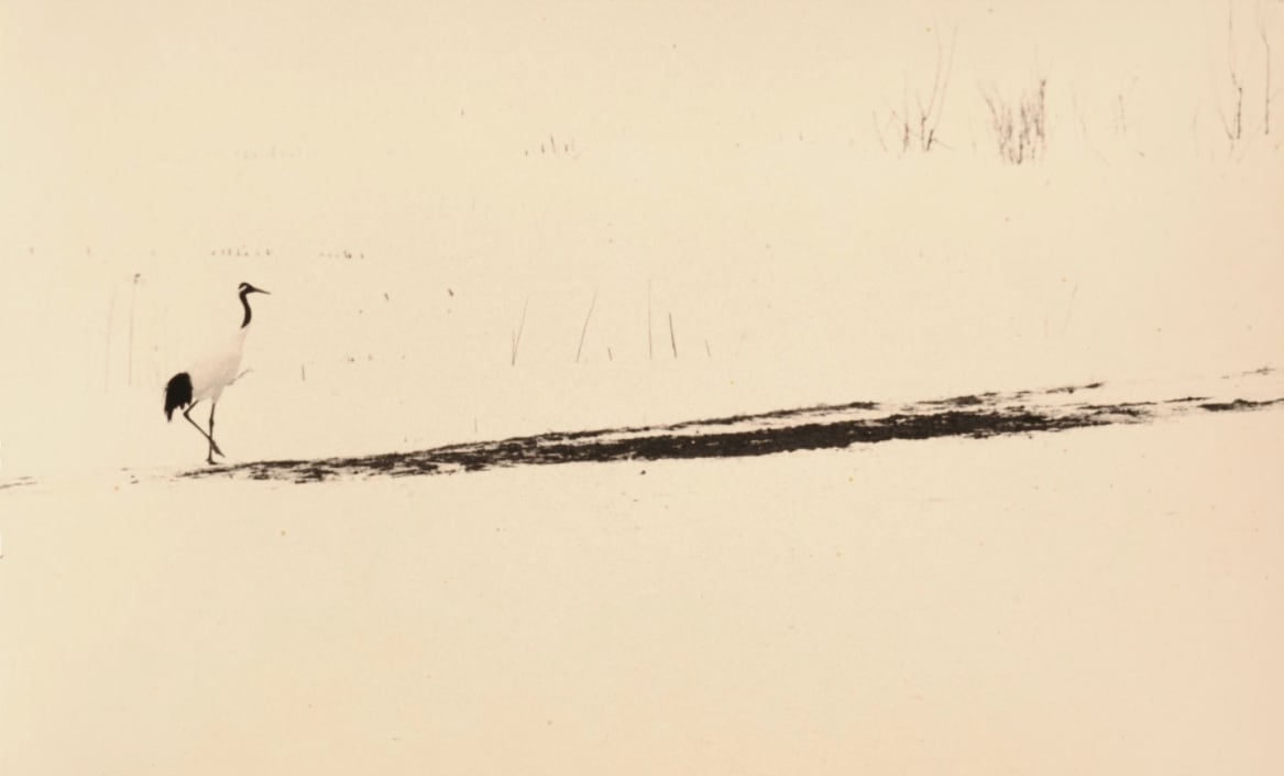 Yamamoto Masao, Kawa=Flow #1678