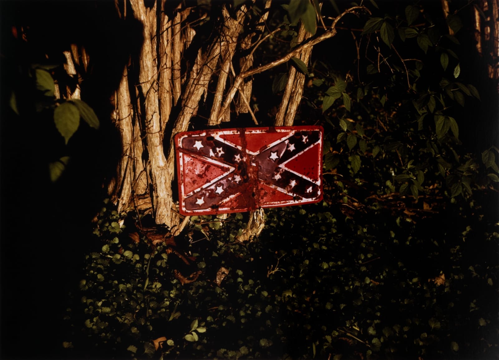William Eggleston, Untitled (Rebel Flag License Plate on Tree), 1973