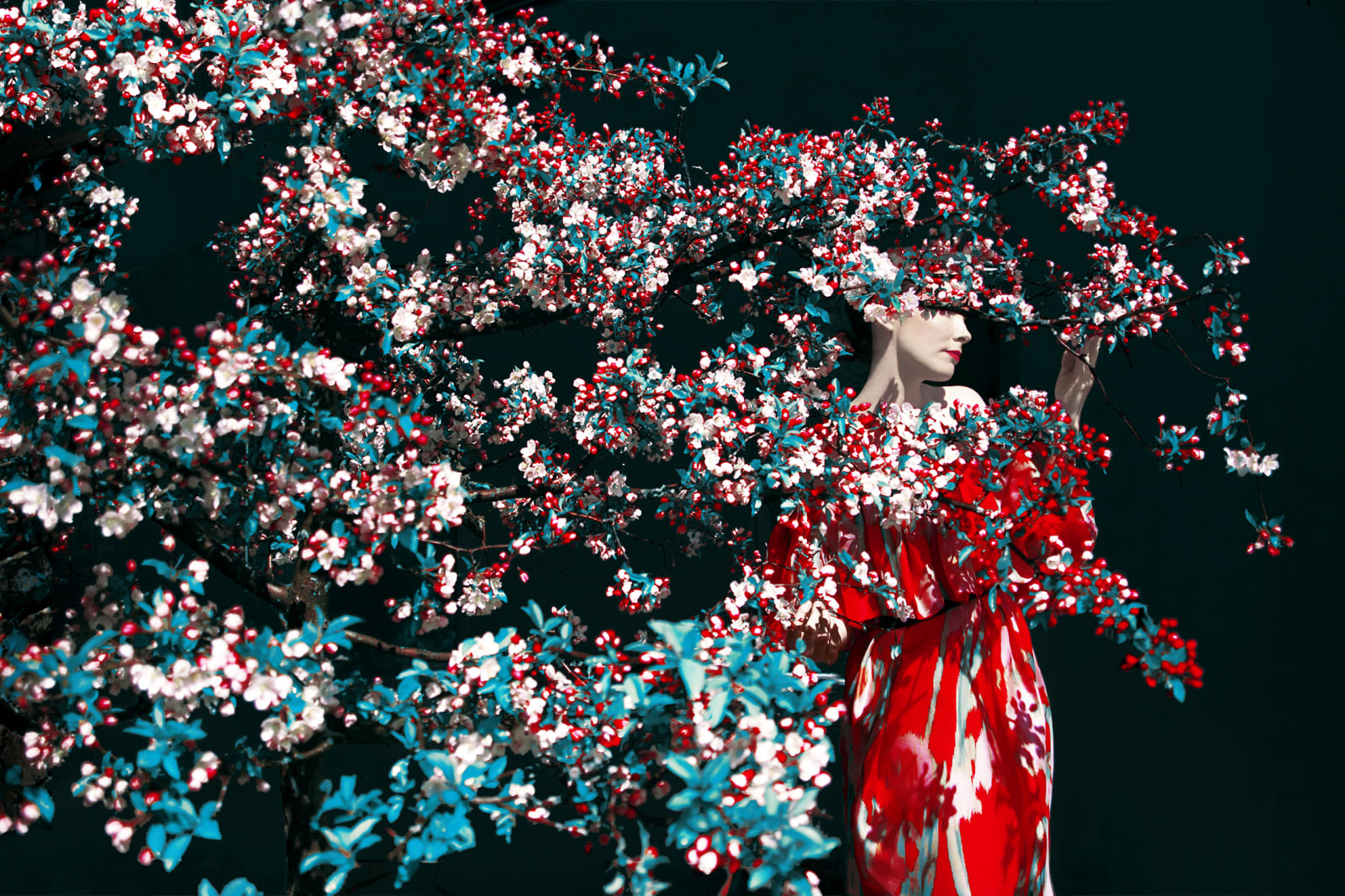 Erik Madigan Heck, Untitled, The Garden, 2019