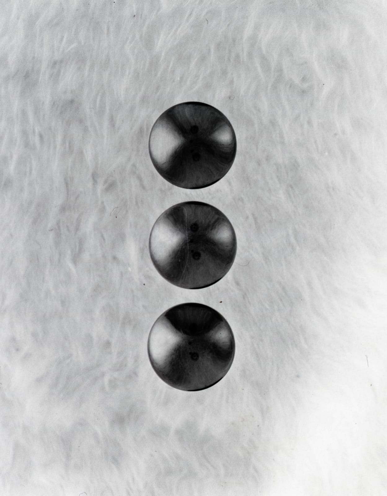 Tommy Nease, 3, 2017