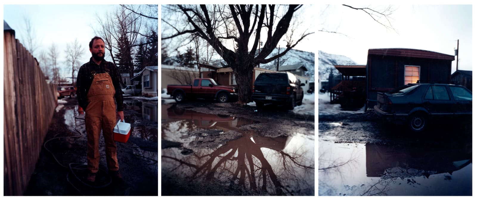 David Hilliard, Saturate, 2007