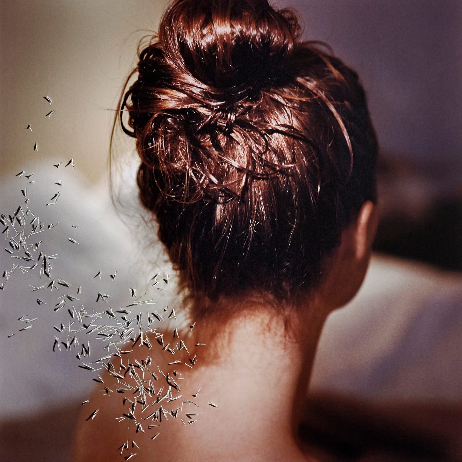 Tabitha Soren, St. Helena, 2019