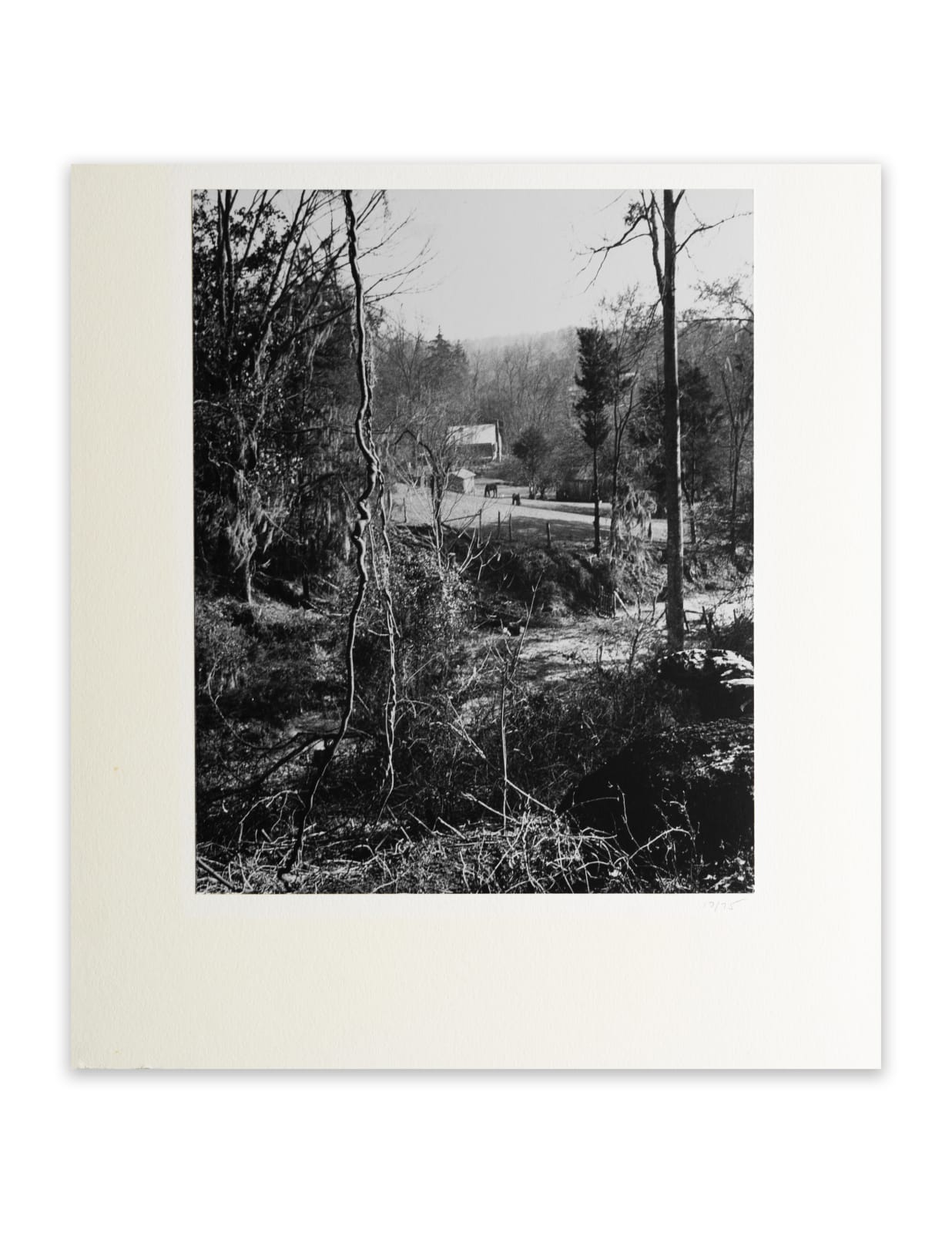 Eudora Welty, Ghost River-town, 1942