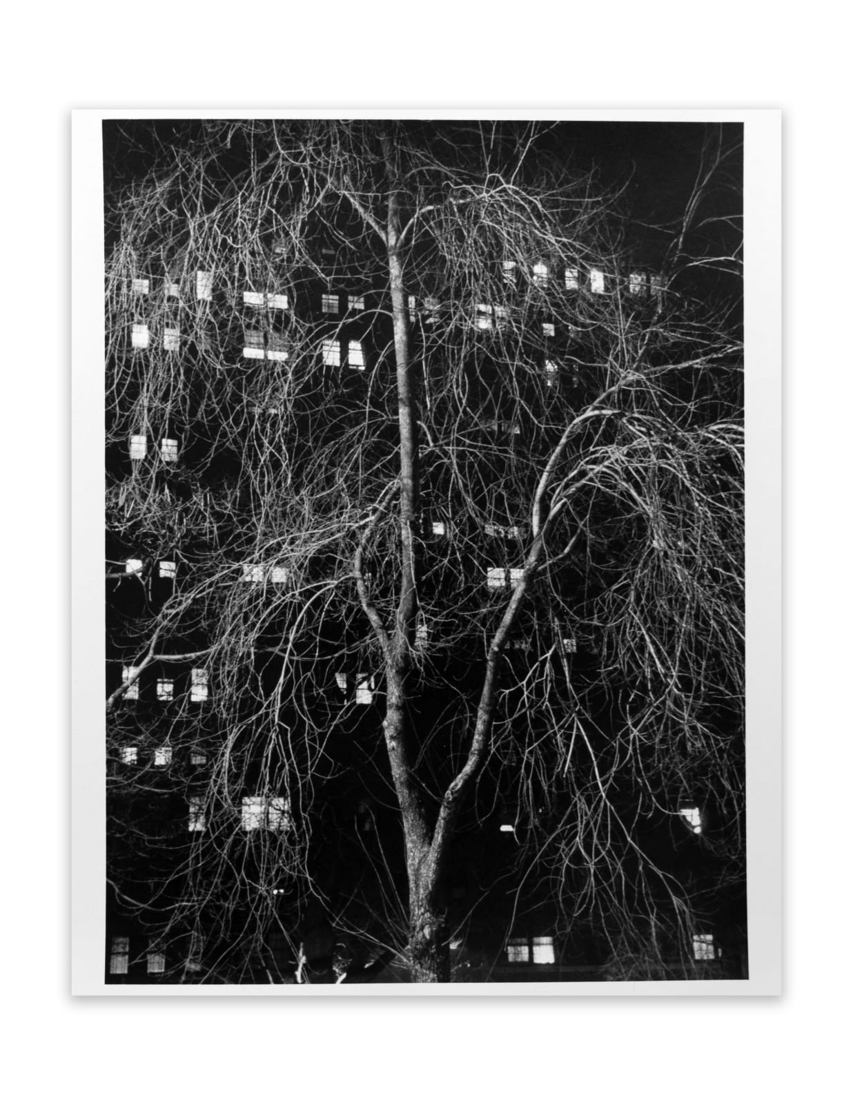 André Kertész, New York, Washington Square, 1958
