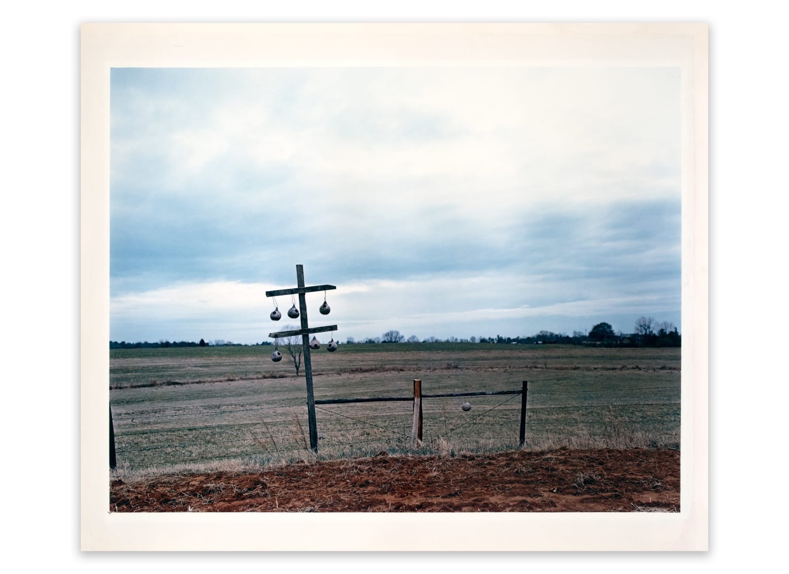 William Christenberry, Gourd Tree, near Akron, Alabama, 1981