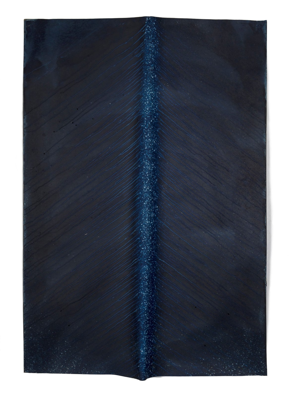 Meghann Riepenhoff, Ecotone #406, (Bainbridge Island, WA 04.20.18, Drizzle and Rainshower), 2018