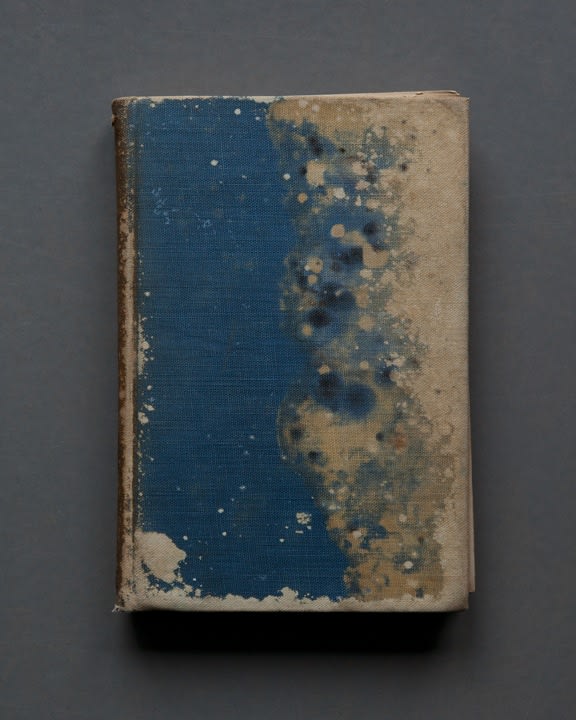 Mary Ellen Bartley, Book of Knowledge, from the series Reading Grey Gardens, 2017