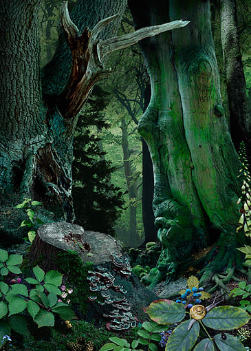 Ruud van Empel, Study in Green #18, 2004