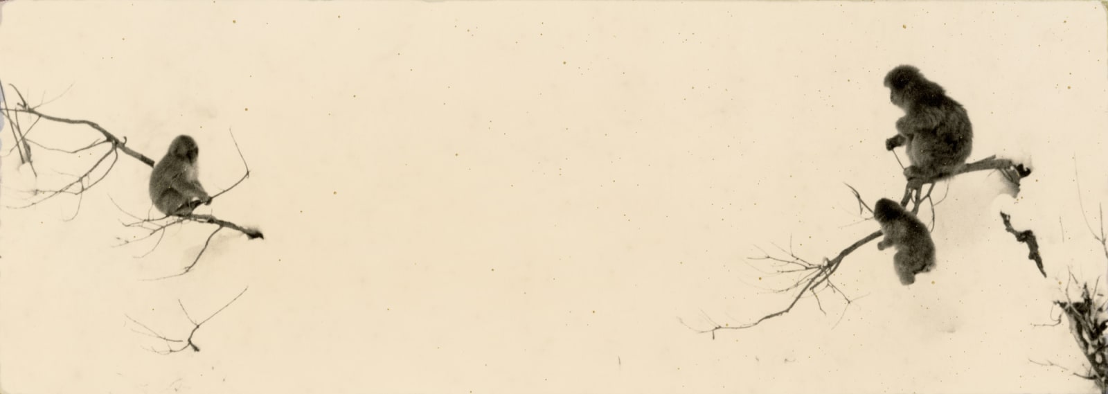 Yamamoto Masao, Kawa=Flow #1697, 2021