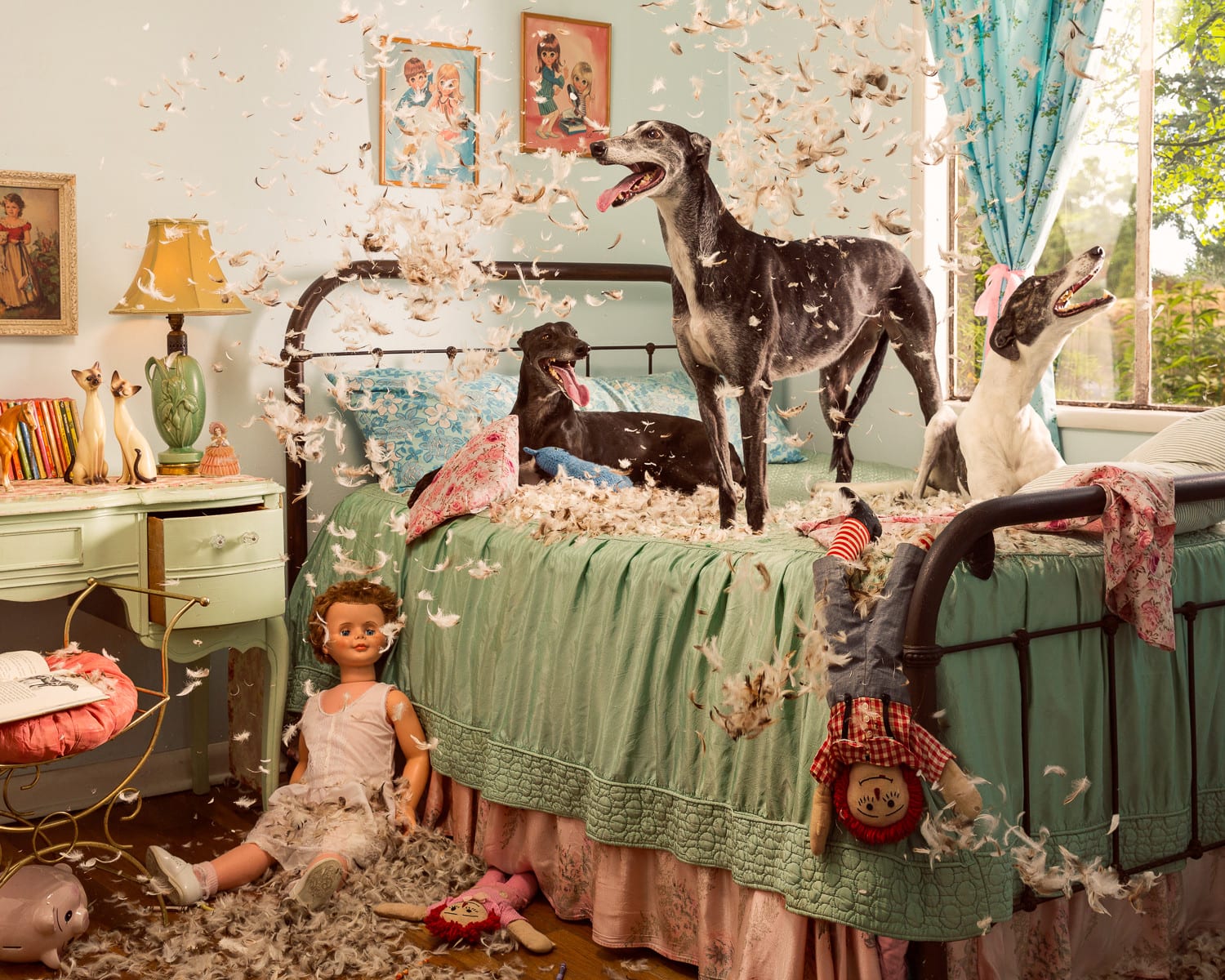 Holly Andres, Greyhounds, June, 2018
