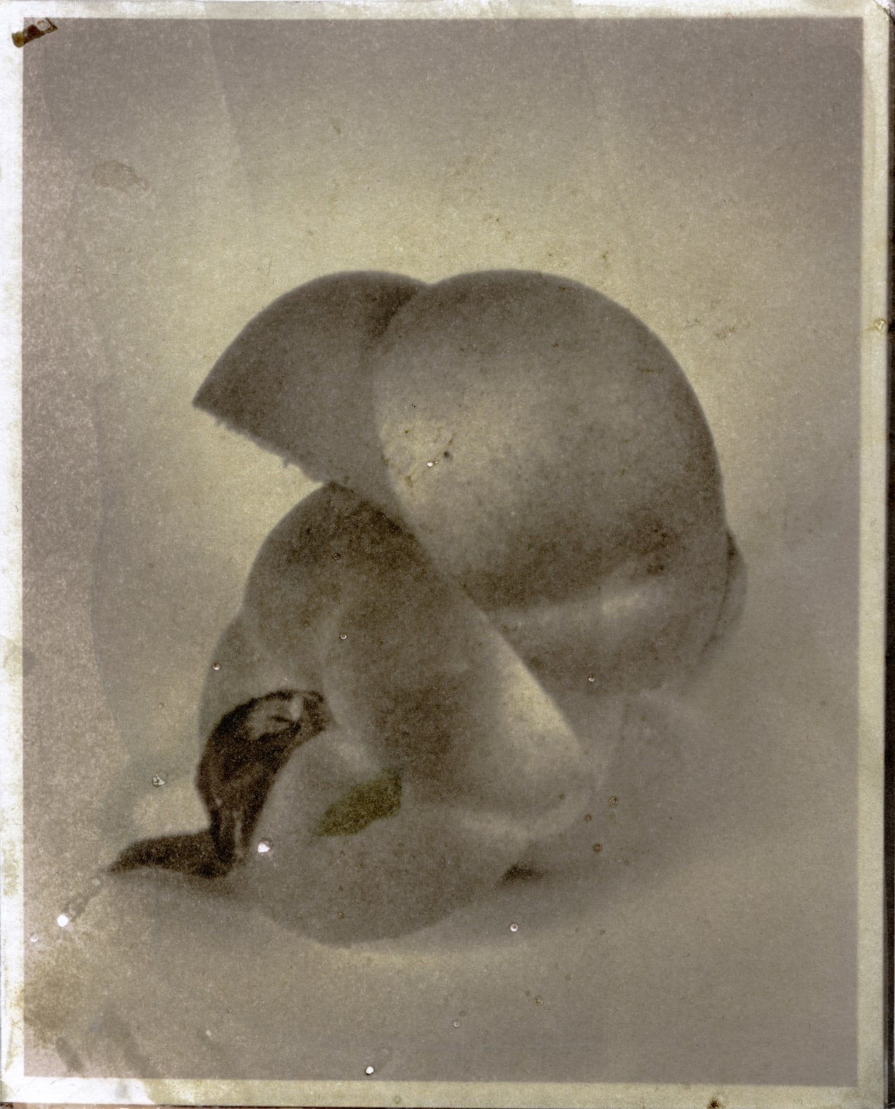 Matthew Brandt, Peaches, 7B, 2017