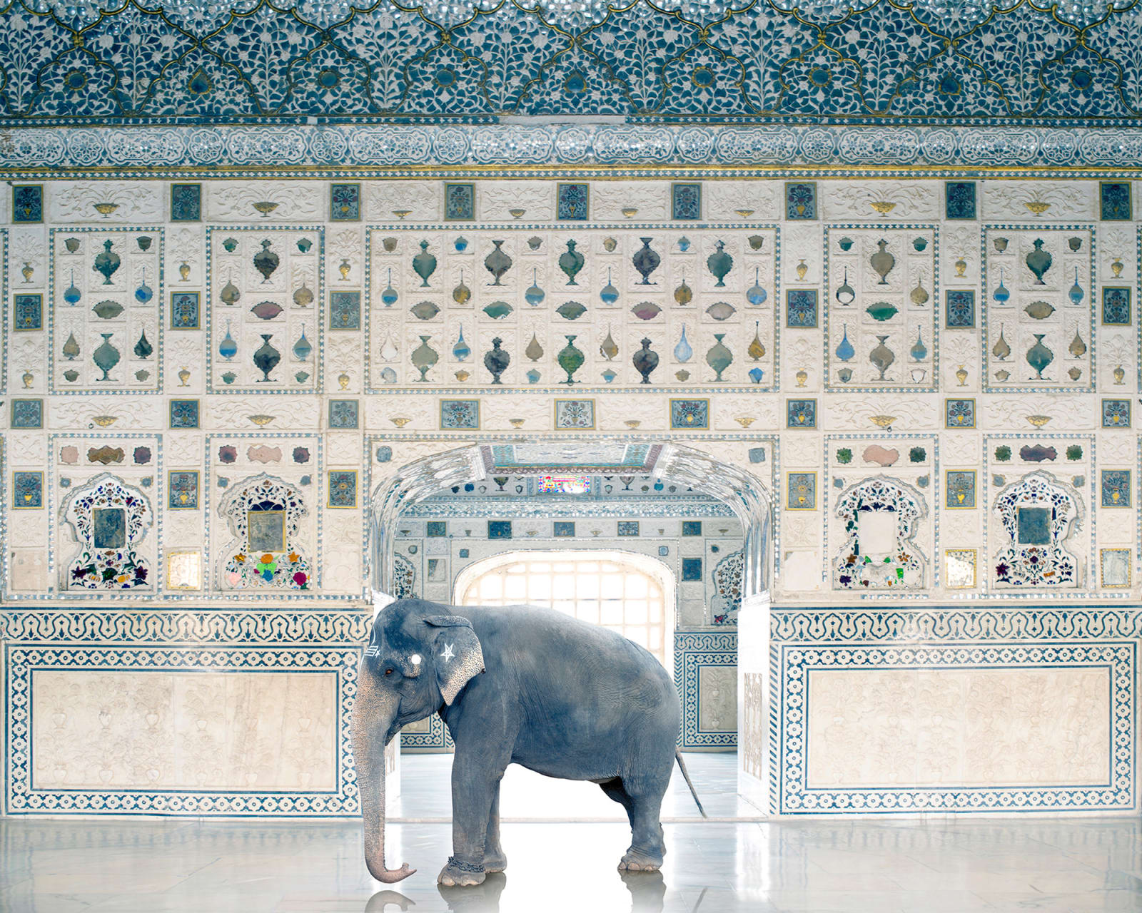 Karen Knorr, Temple Servant, Amber Fort, Jaipur, 2014
