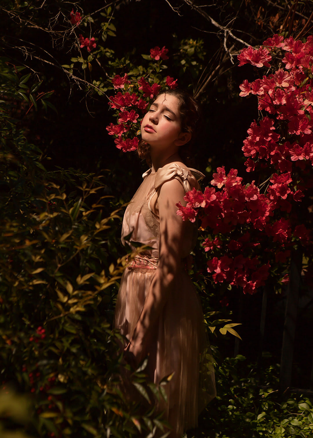 Christy Bush, Stella, 2013