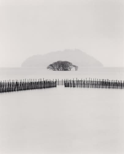 Michael Kenna, Submerged Trees, 2002