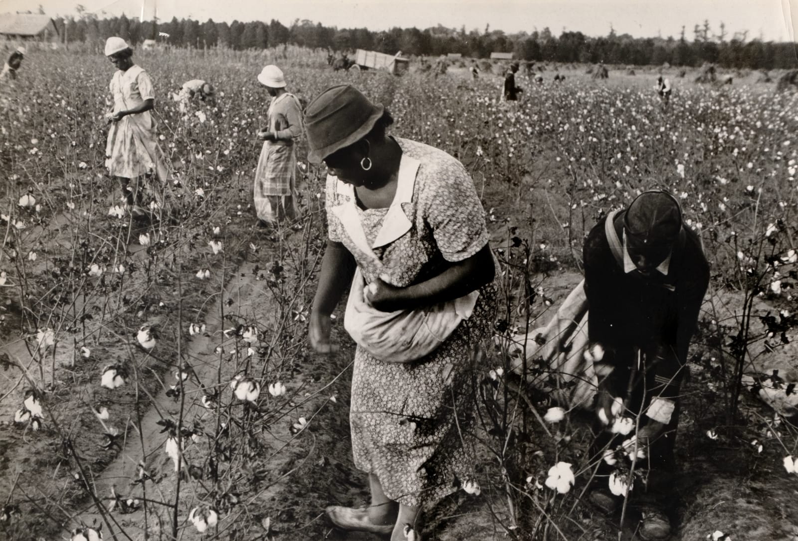 Ben Shahn, Cotton Pickers, Pulaski County, Arkansas, 1935