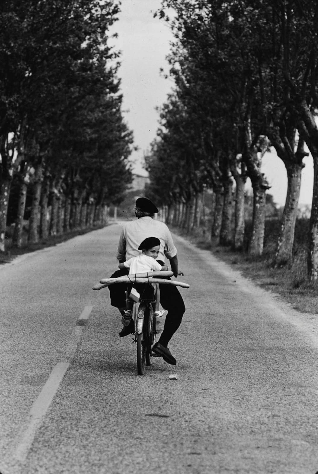 Elliott Erwitt, Provence, 1955