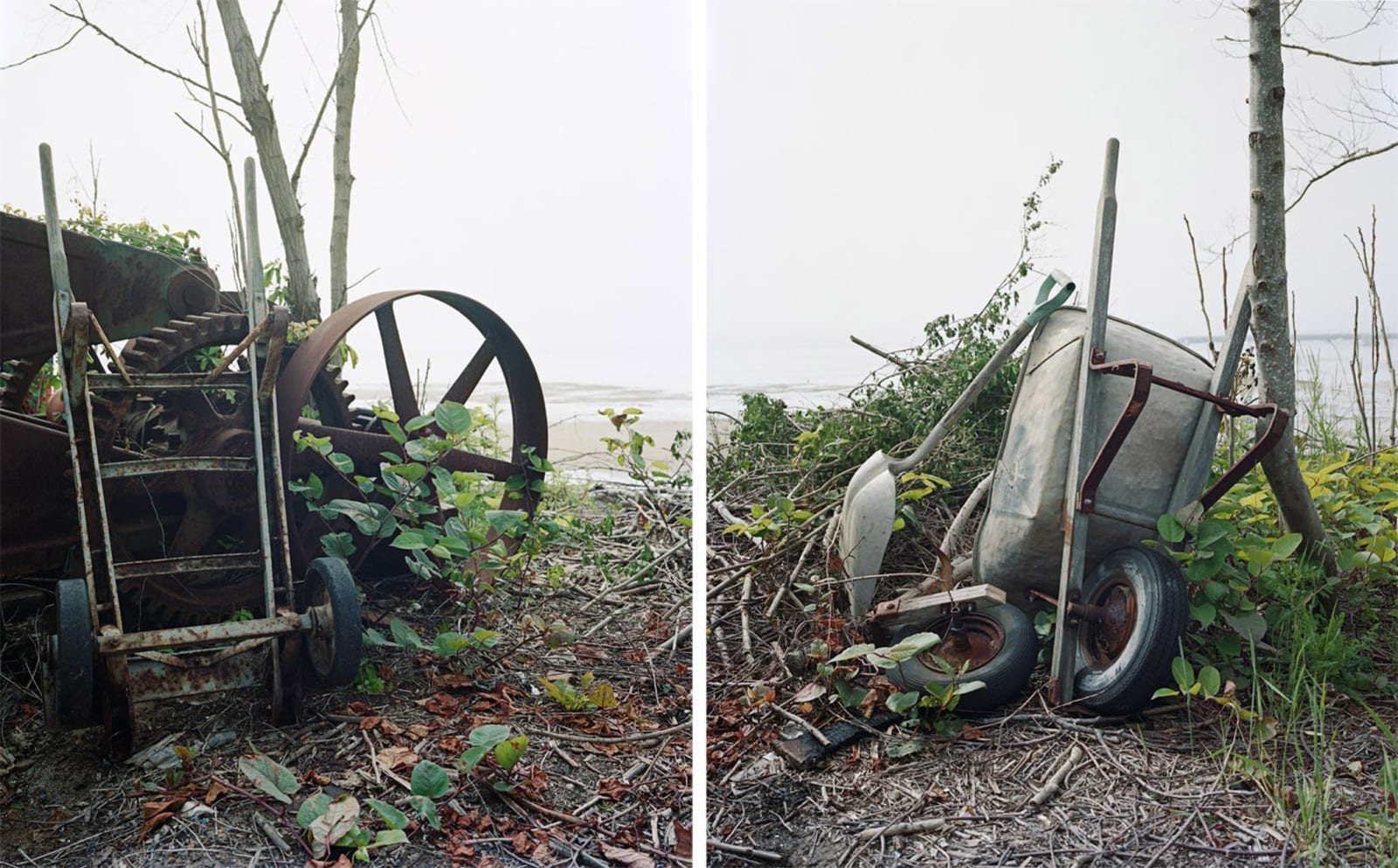 David Hilliard, The End of Toil, 2012