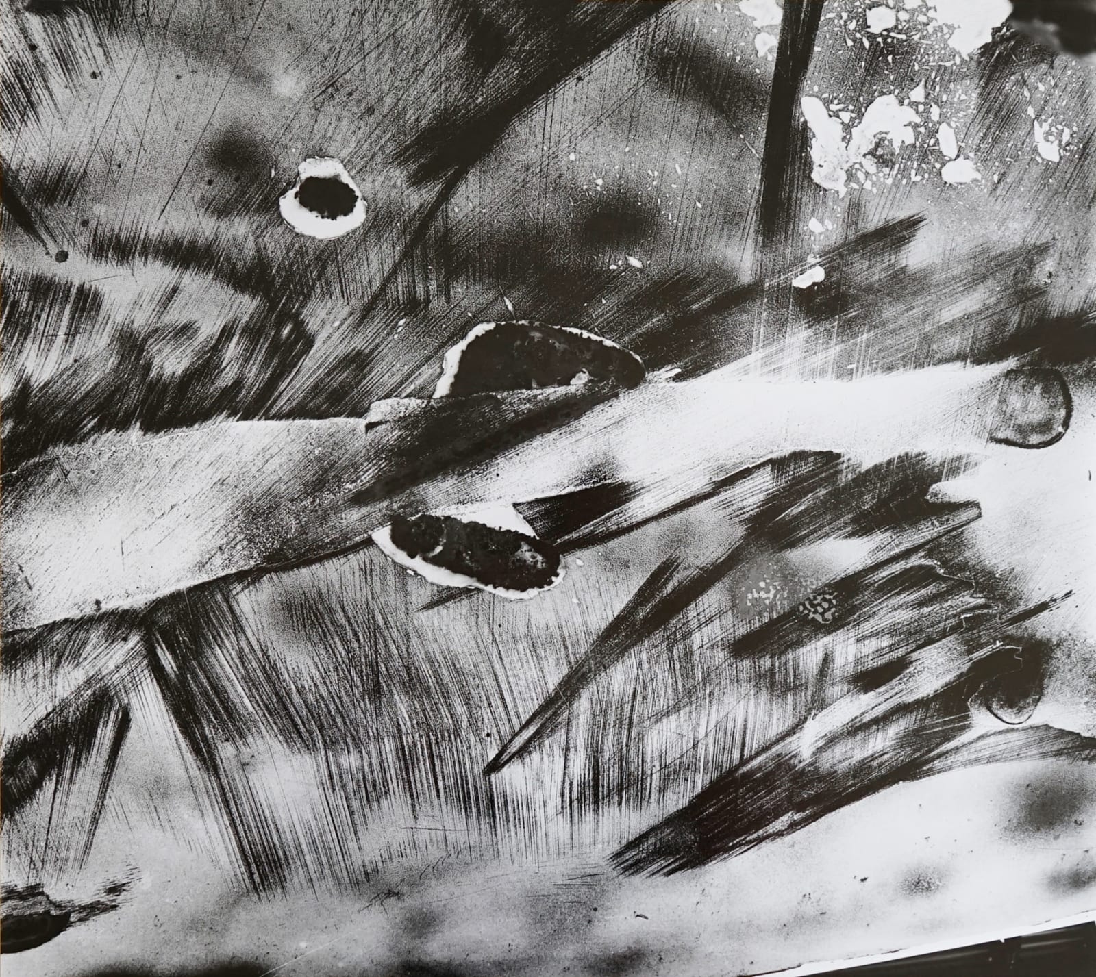 Brett Weston, Untitled