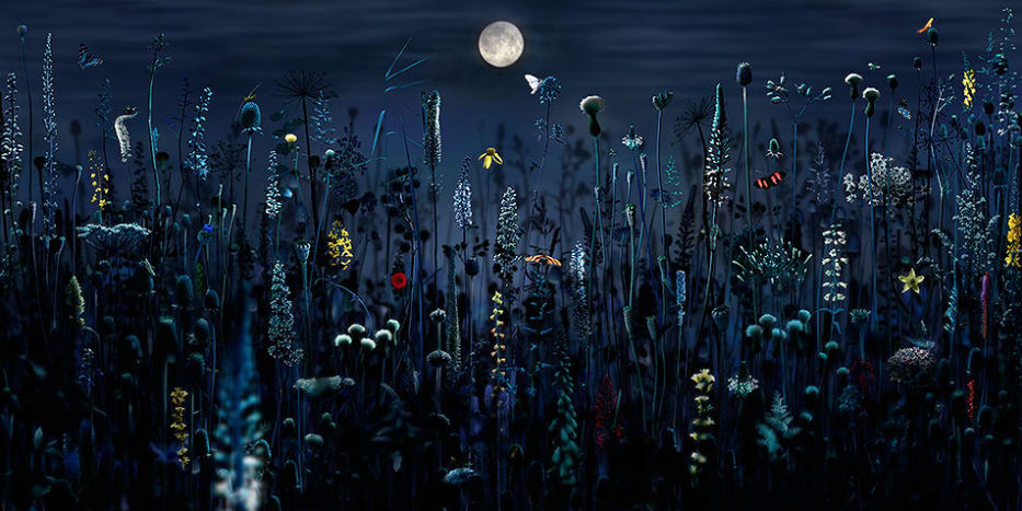 Ruud van Empel, Voyage Pittoresque #2, 2016
