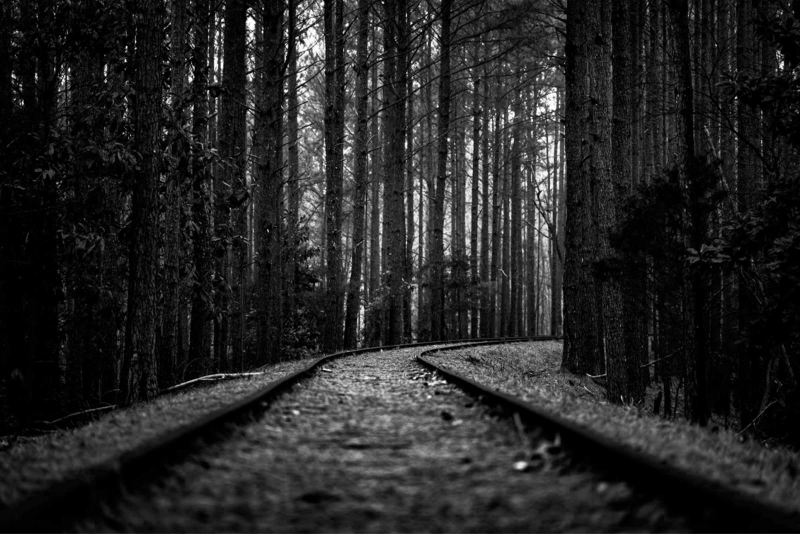 Sheila Pree Bright, There is a Future, 2020