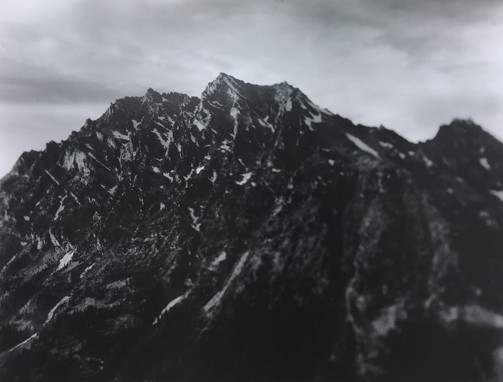 Tommy Nease, Stuart, 2017