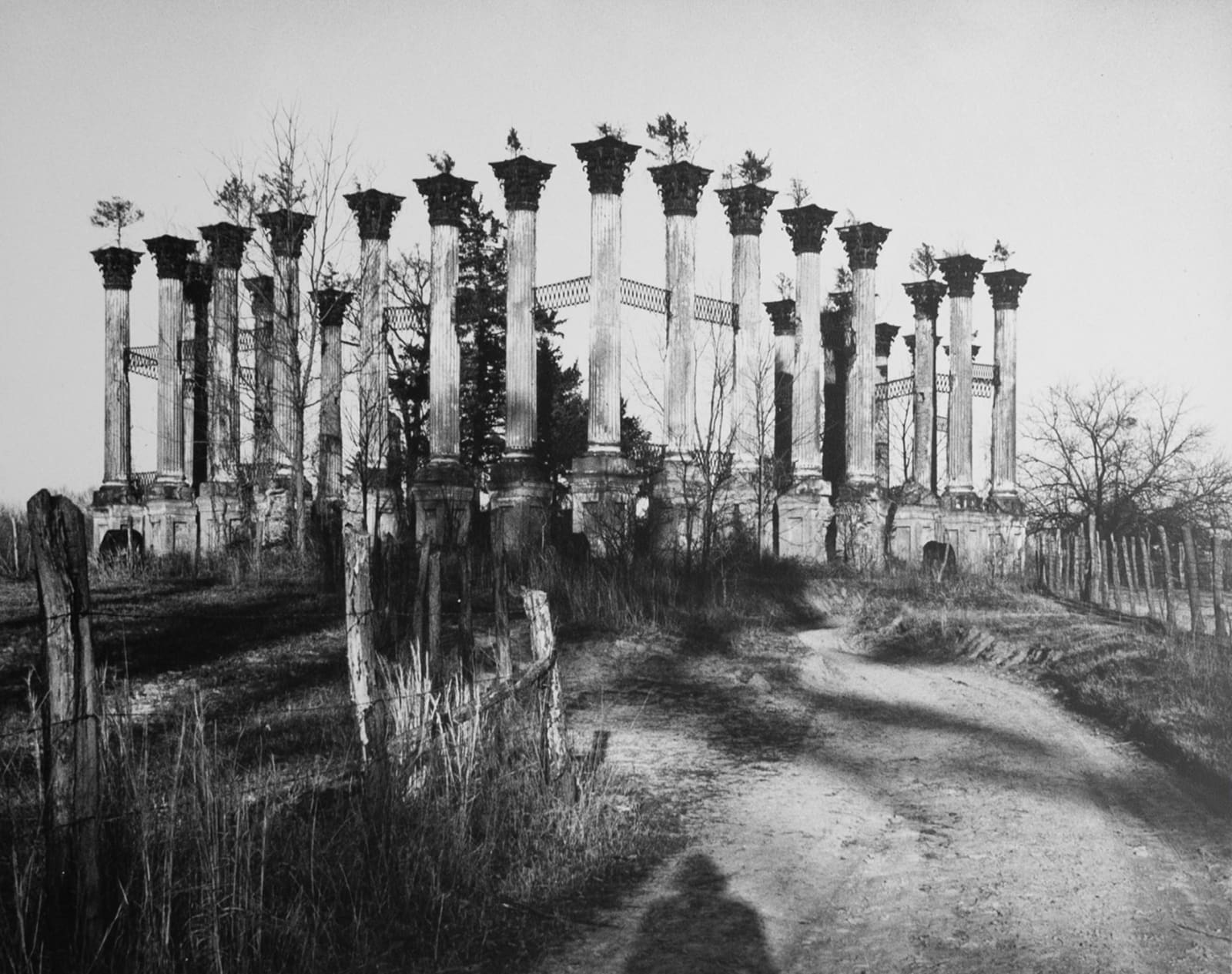 Eudora Welty, Ruins of Windsor, 1942