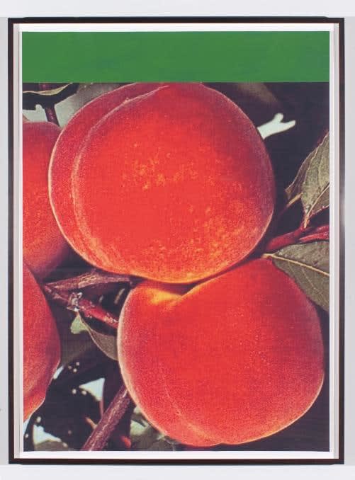 Carolyn Carr, You Cannot Believe What is Under All That, 2010