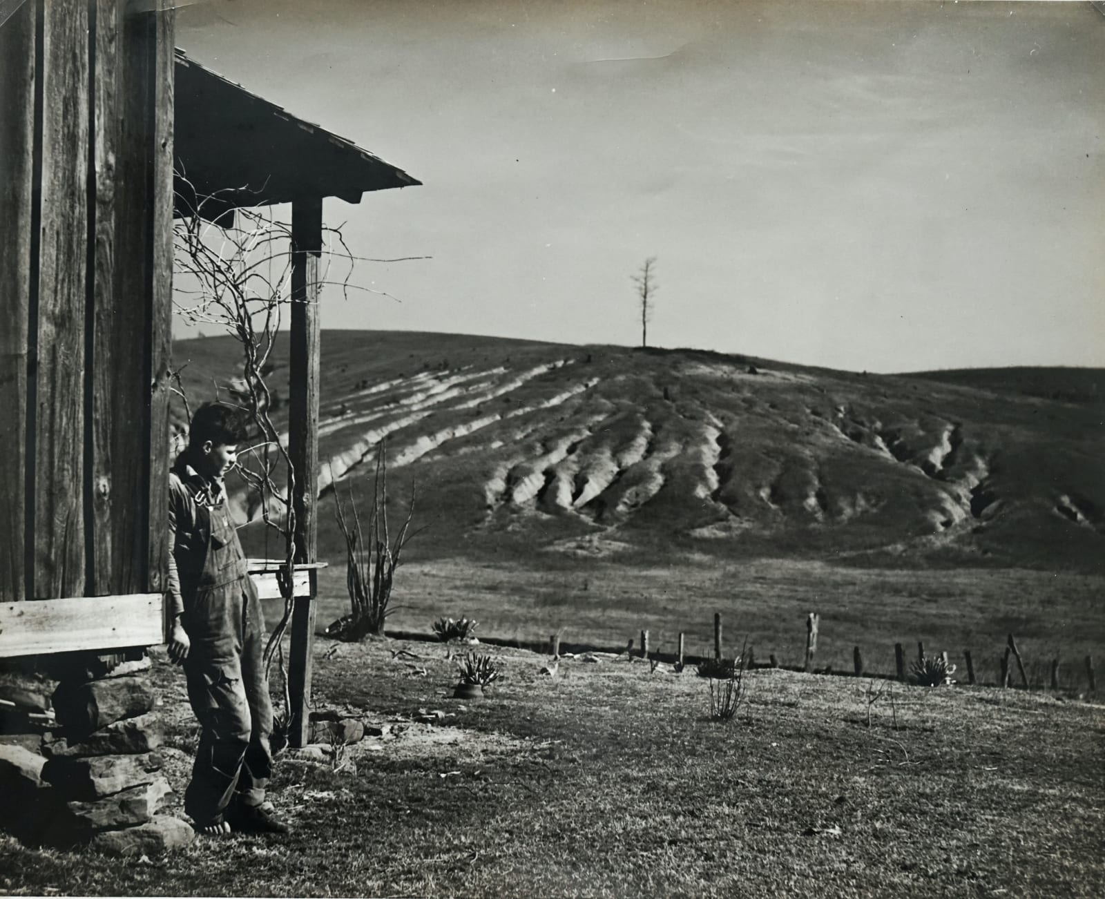 Arthur Rothstein, Eroded land on tenant's farm. Walker County, Alabama, 1937