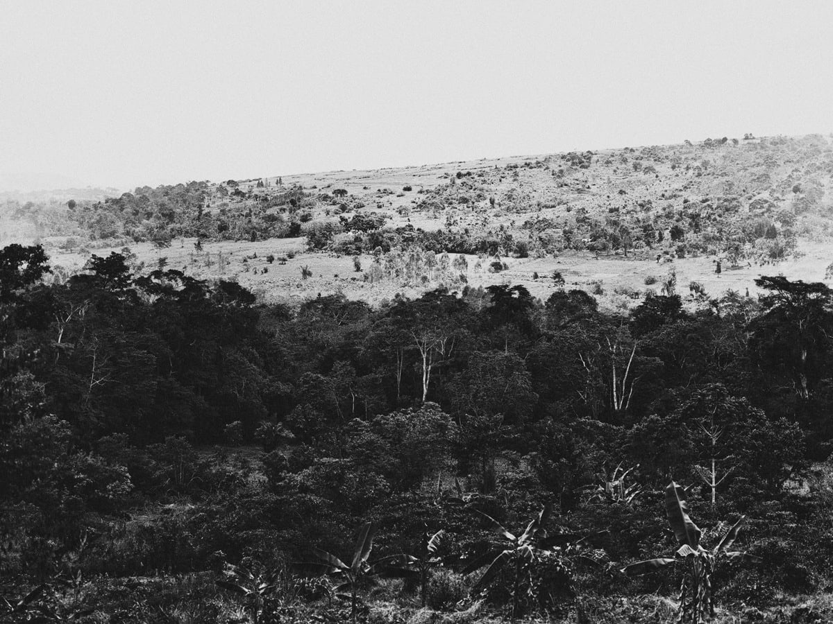 Bastiaan Woudt, Untitled from the series Mukono