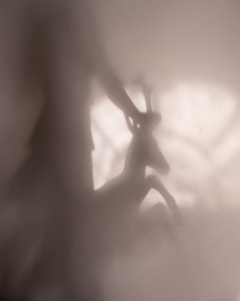 Cig Harvey, Artemis, Reflecting on the Wall, 2018