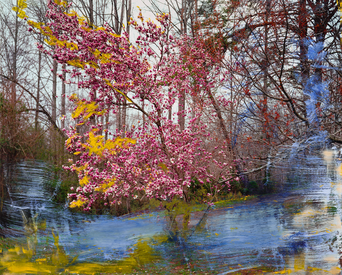 Angela West, She Went, Ever Singing, 2021