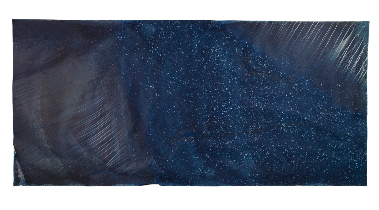 Meghann Riepenhoff, Ecotone #470 (Bainbridge Island, WA 08.23-28.18, Draped on Boulder, Rain, Fog, and Dew), 2018
