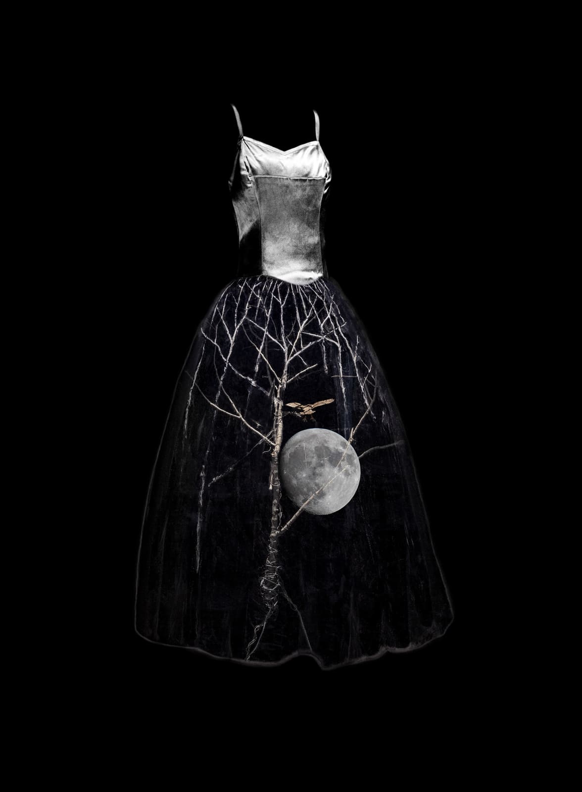 Todd Murphy, Untitled, (Night Owl Murmurations Dress), 2015