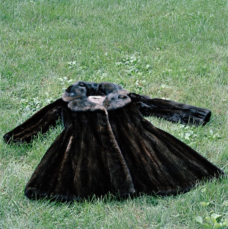 Jeannette Montgomery Barron, The Fur, 2008