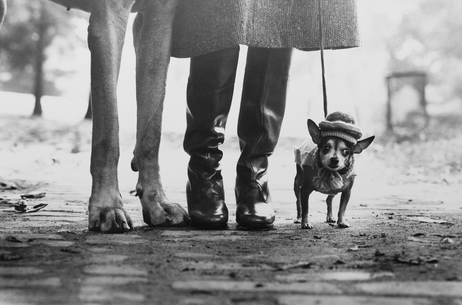 Elliott Erwitt, New York City, 1974