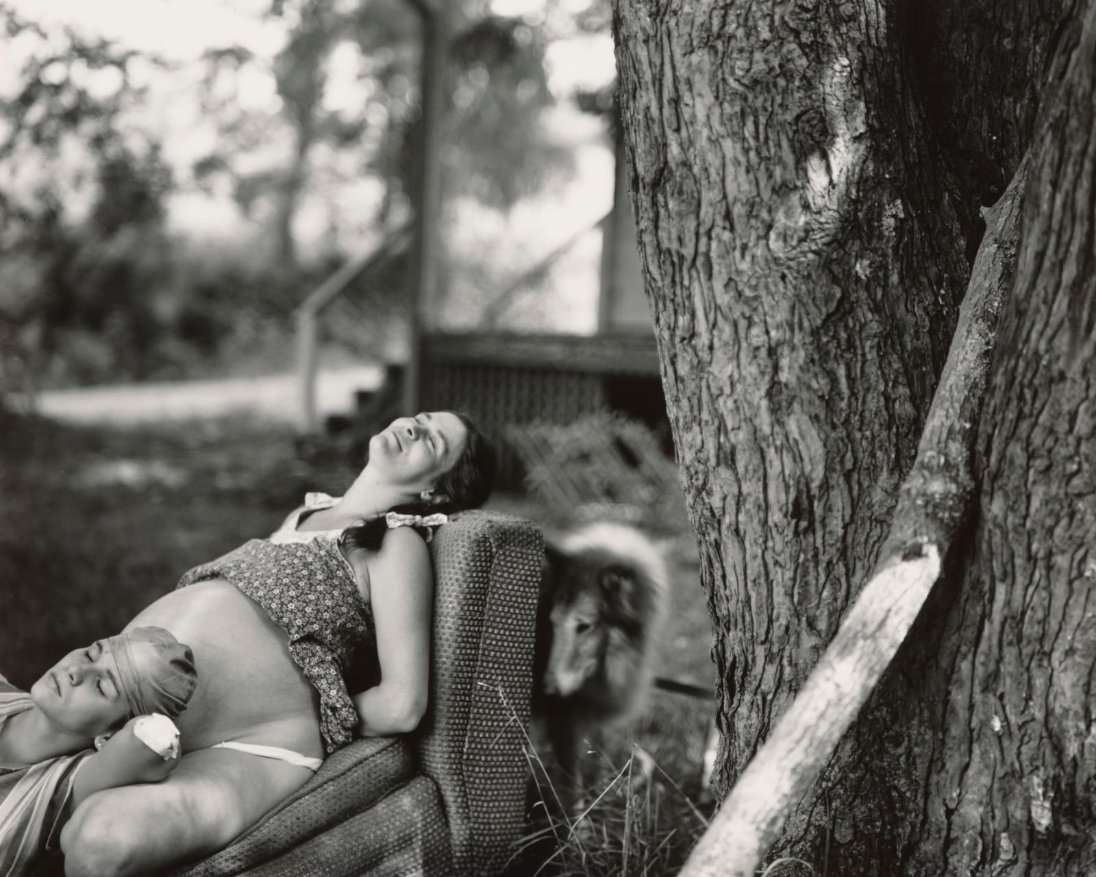 Sally Mann, Jenny and Leslie with Collie (At Twelve), 1983-1985