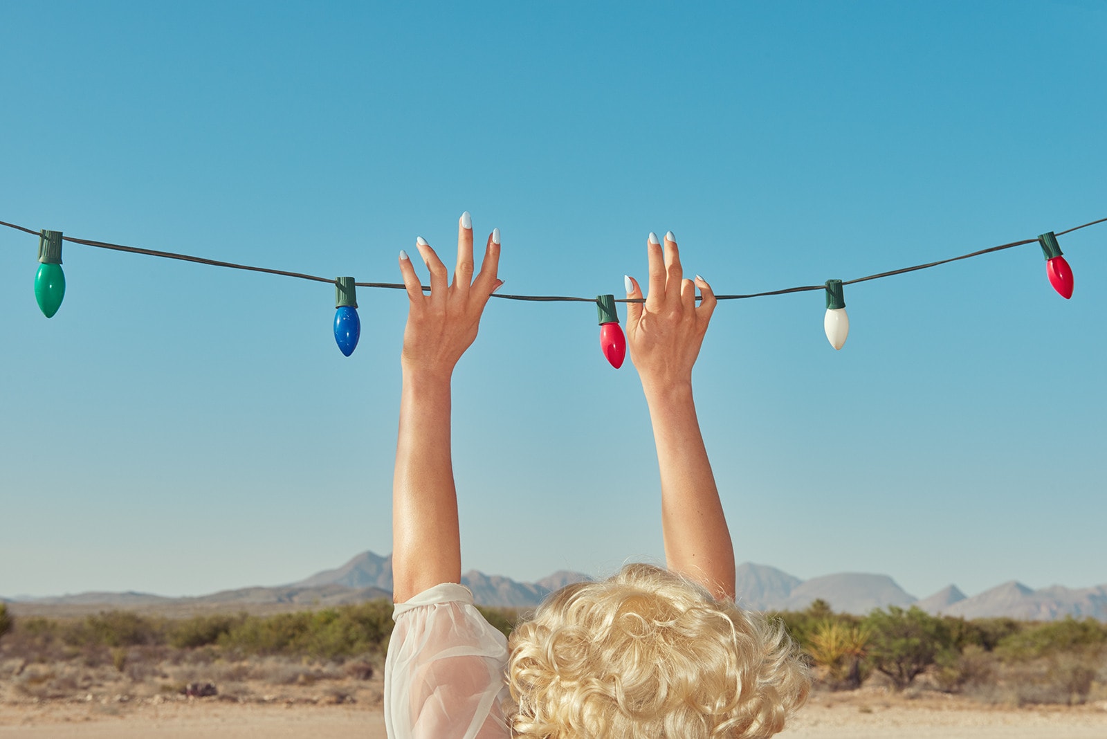 Kourtney Roy, Sorry, No Vacancy, N°4