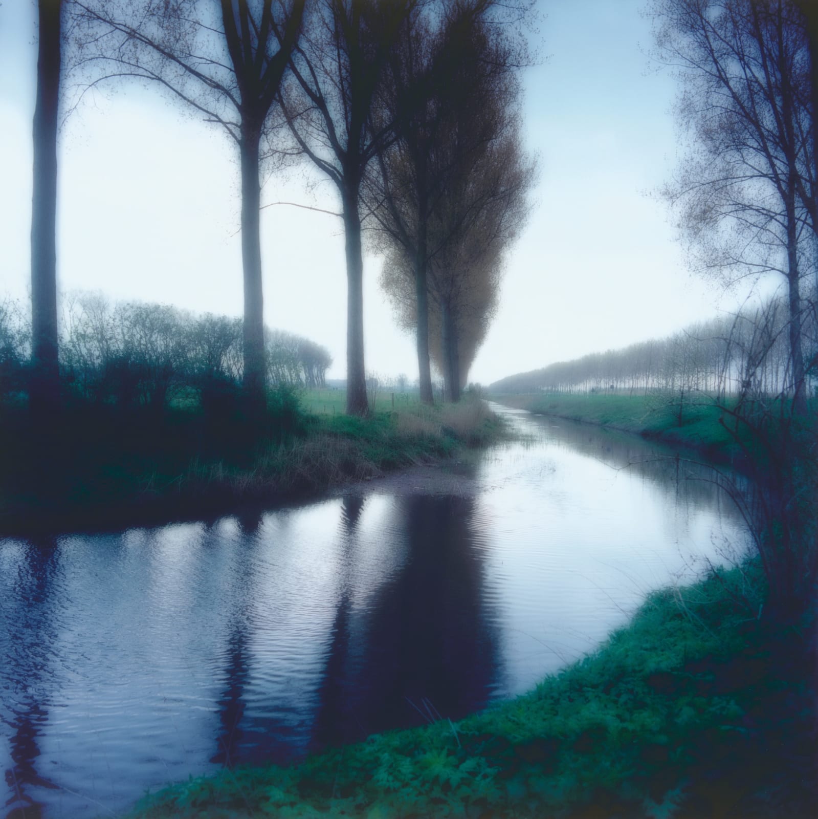 Lynn Geesaman, Damme, Belgium, (4-04-8c-2), 2004