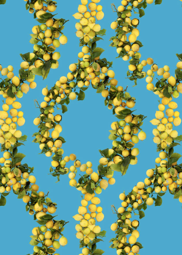 Fallen Fruit, Lemon/Santa Barbara Wallpaper, 2013